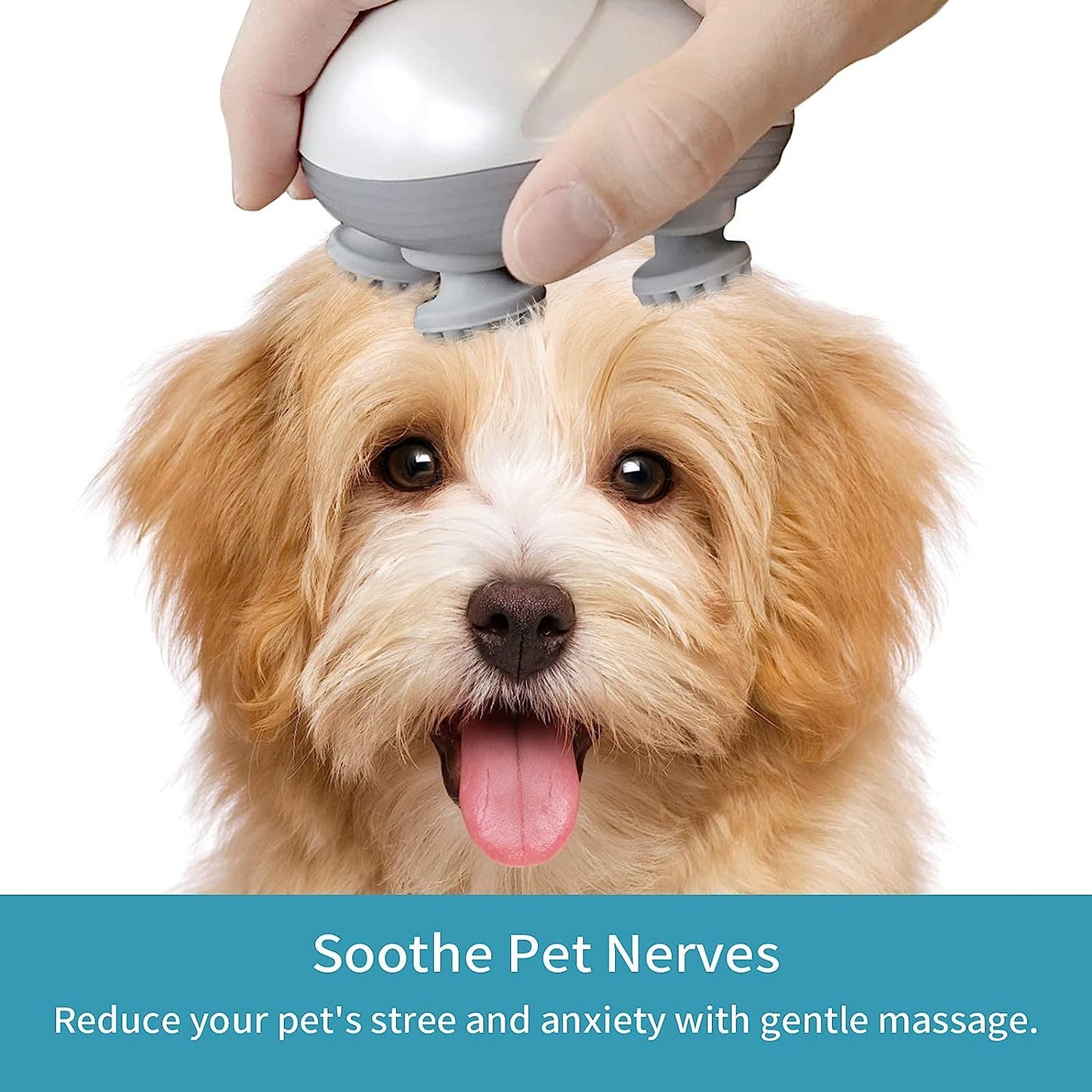 Head and Scalp Massage Device