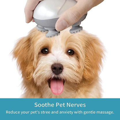 Head and Scalp Massage Device